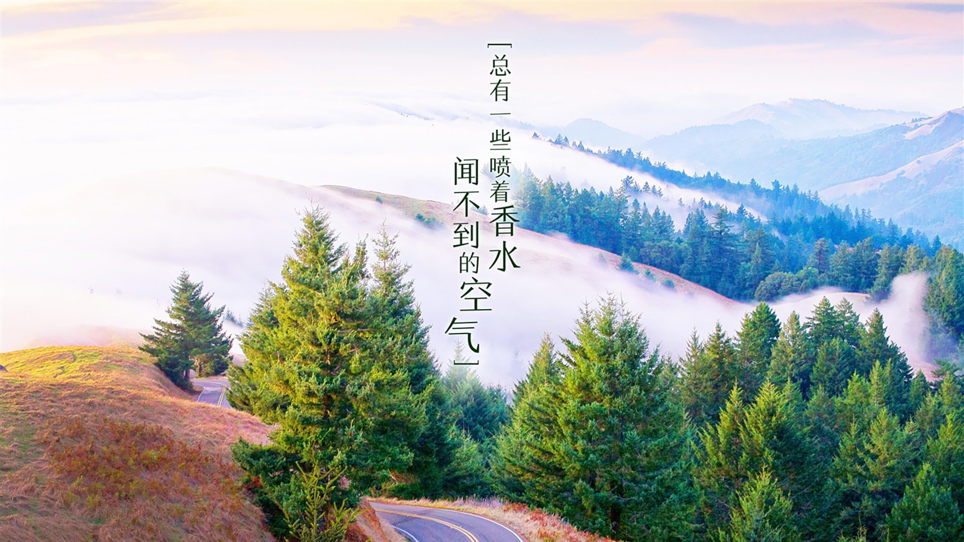 2026年自行车赛事日历：国内业余赛报名指南，2021自行车业余比赛报名